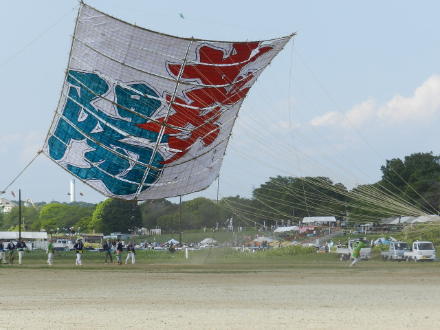 2026年 座間の大凧まつり